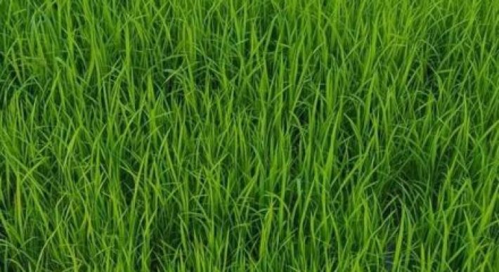 Győr-Moson-Sopron megye – Dunakiliti