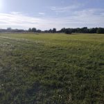 Győr-Moson-Sopron megye – Mindszentpuszta