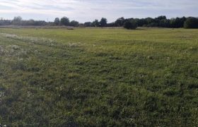 Győr-Moson-Sopron megye – Mindszentpuszta