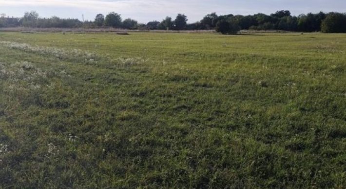 Győr-Moson-Sopron megye – Mindszentpuszta