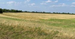 Győr-Moson-Sopron megye – Mezőörs – Mindszentpuszta