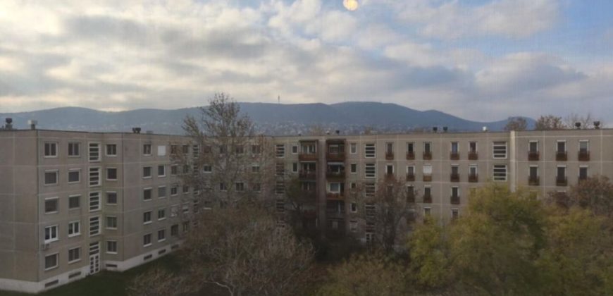 Budapest – III. kerület – Kaszásdűlő