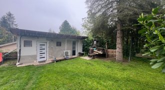 Komárom-Esztergom megye – Tatabánya – Síkvölgypuszta