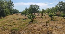 Győr-Moson-Sopron megye – Mosonmagyaróvár – Nincs megadva