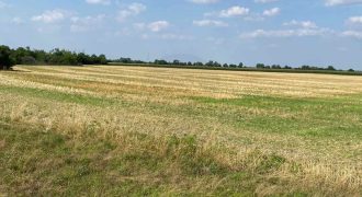 Győr-Moson-Sopron megye – Mezőörs – Mindszentpuszta