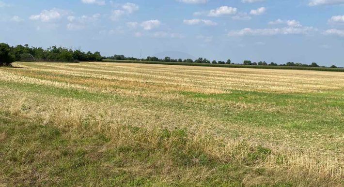 Győr-Moson-Sopron megye – Mezőörs – Mindszentpuszta