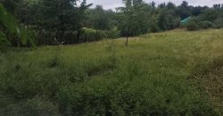 Győr-Moson-Sopron megye – Győrság – Nincs megadva