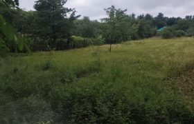 Győr-Moson-Sopron megye – Győrság – Nincs megadva