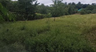 Győr-Moson-Sopron megye – Győrság – Nincs megadva