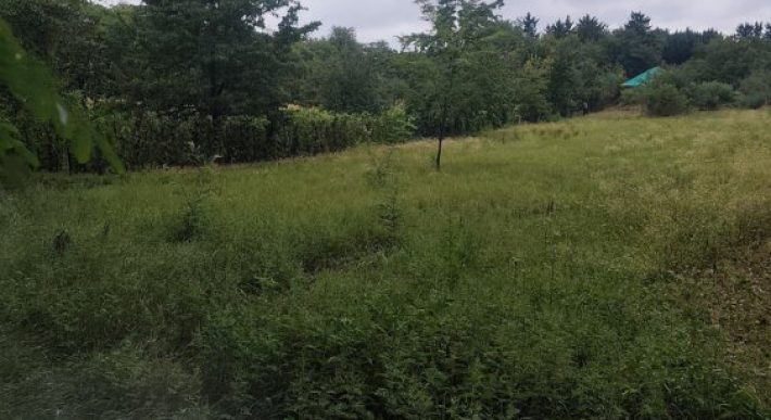 Győr-Moson-Sopron megye – Győrság – Nincs megadva