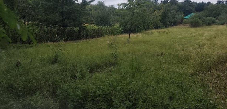 Győr-Moson-Sopron megye – Győrság – Nincs megadva