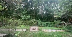 Komárom-Esztergom megye – Tatabánya – Síkvölgypuszta