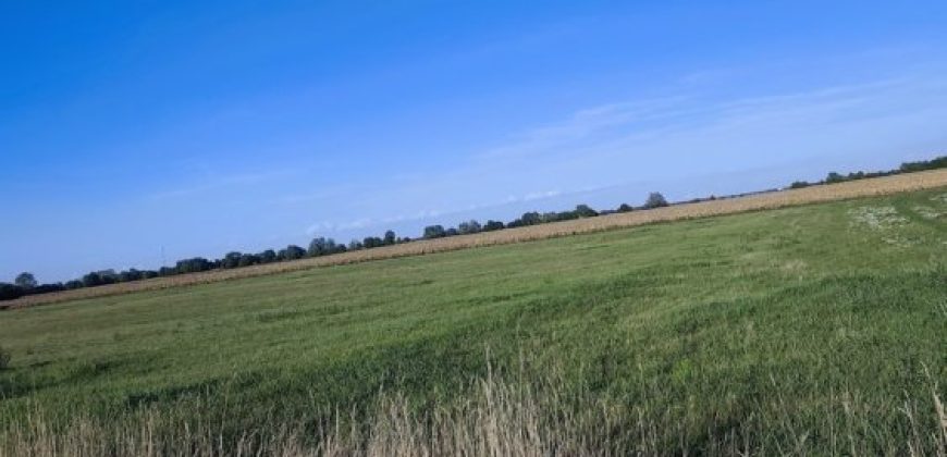 Győr-Moson-Sopron megye – Mindszentpuszta