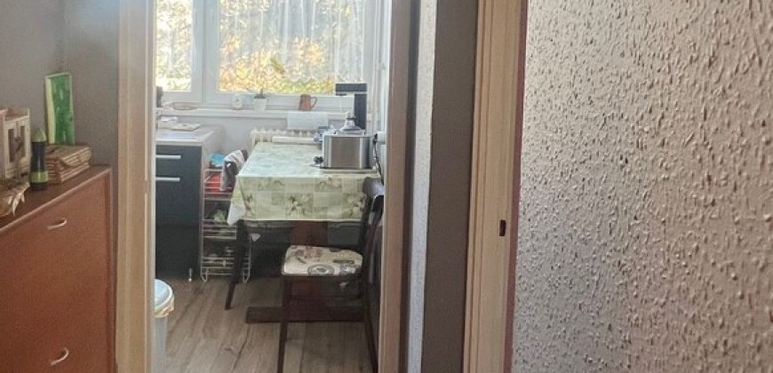 Komárom-Esztergom megye – Tatabánya – Dózsakert