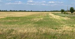 Győr-Moson-Sopron megye – Mezőörs – Mindszentpuszta