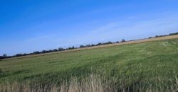 Győr-Moson-Sopron megye – Mindszentpuszta