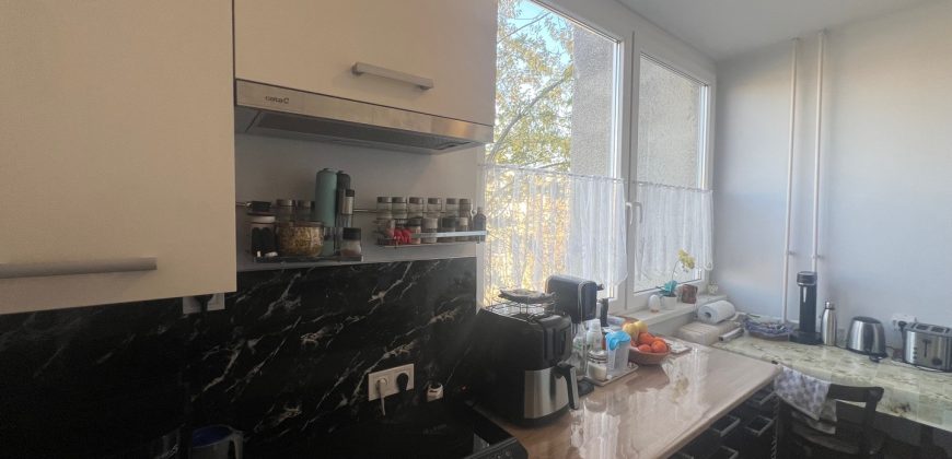 Komárom-Esztergom megye – Tatabánya – Dózsakert