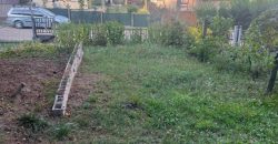 Komárom-Esztergom megye – Tatabánya – Síkvölgypuszta
