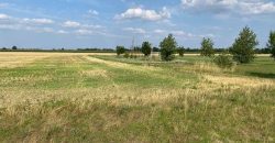 Győr-Moson-Sopron megye – Mezőörs – Mindszentpuszta