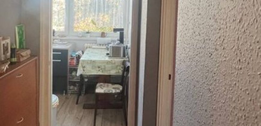 Komárom-Esztergom megye – Tatabánya – Dózsakert