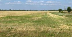 Győr-Moson-Sopron megye – Mezőörs – Mindszentpuszta