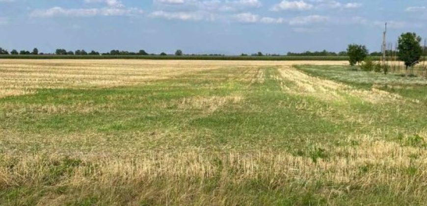 Győr-Moson-Sopron megye – Mezőörs – Mindszentpuszta