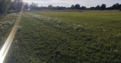 Győr-Moson-Sopron megye – Mindszentpuszta