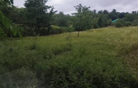 Győr-Moson-Sopron megye – Győrság – Nincs megadva