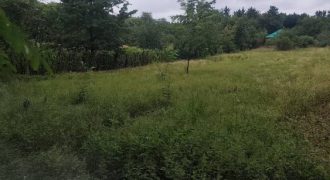 Győr-Moson-Sopron megye – Győrság – Nincs megadva
