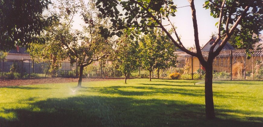 Komárom-Esztergom megye – Bábolna