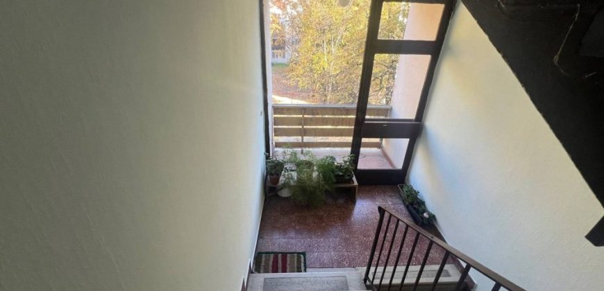 Komárom-Esztergom megye – Tatabánya – Dózsakert