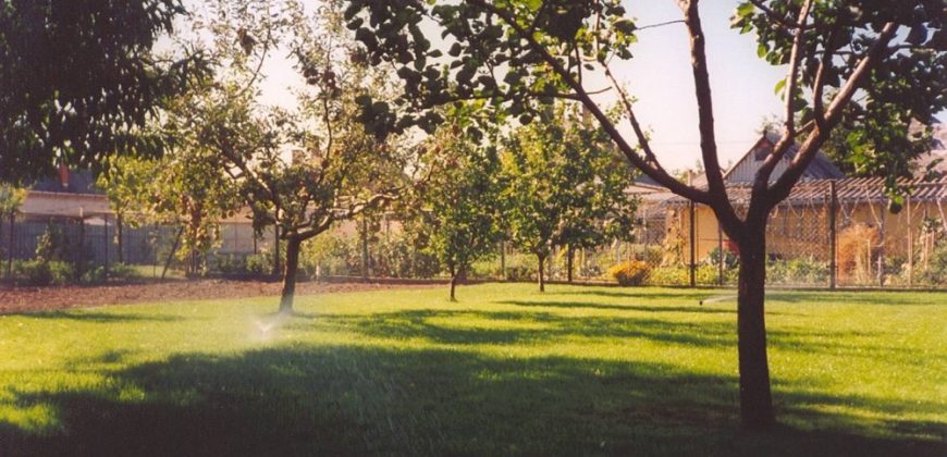 Komárom-Esztergom megye – Bábolna