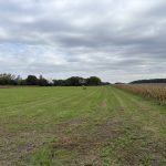 Győr-Moson-Sopron megye – Abda – Nincs megadva