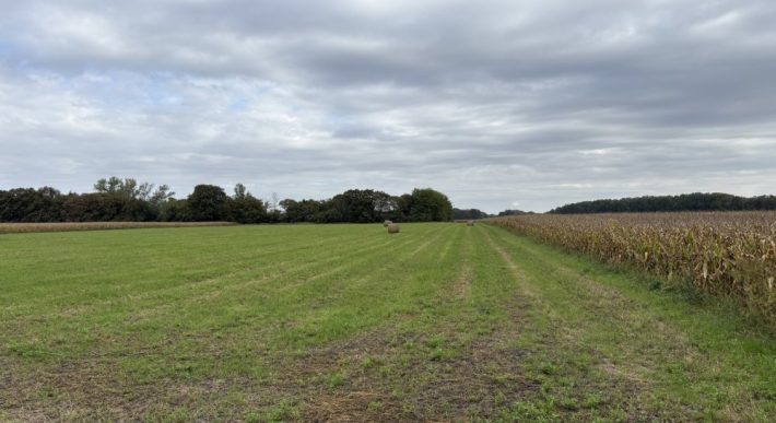 Győr-Moson-Sopron megye – Abda – Nincs megadva