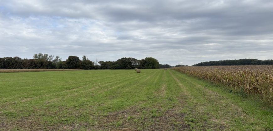 Győr-Moson-Sopron megye – Abda – Nincs megadva