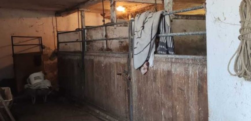 Győr-Moson-Sopron megye – Mosonmagyaróvár – Nincs megadva