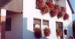 Komárom-Esztergom megye – Bábolna