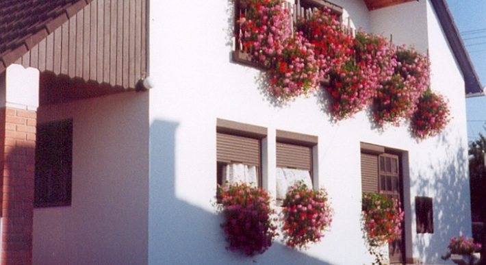 Komárom-Esztergom megye – Bábolna