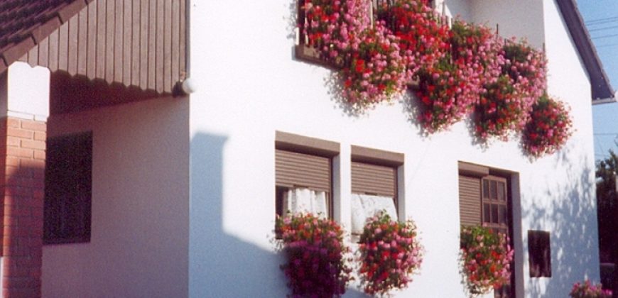 Komárom-Esztergom megye – Bábolna