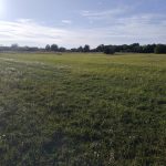 Győr-Moson-Sopron megye – Mindszentpuszta