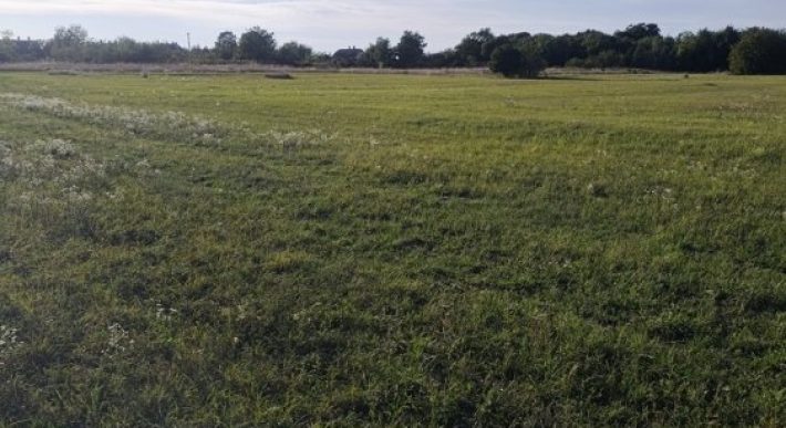 Győr-Moson-Sopron megye – Mindszentpuszta