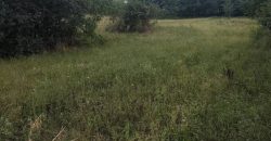 Győr-Moson-Sopron megye – Győrság – Nincs megadva