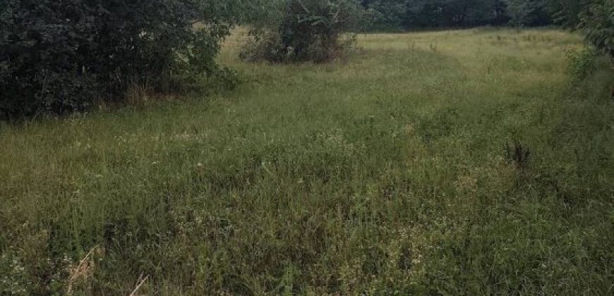 Győr-Moson-Sopron megye – Győrság – Nincs megadva