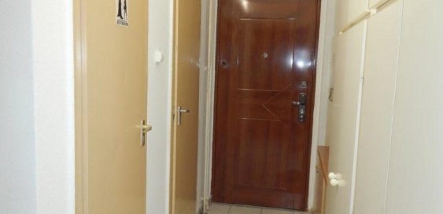 Komárom-Esztergom megye – Tatabánya – Dózsakert