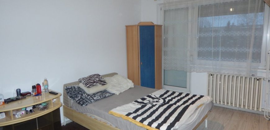 Komárom-Esztergom megye – Tatabánya – Sárberek