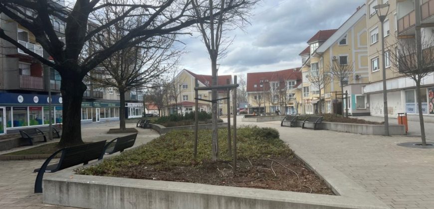 Komárom-Esztergom megye – Tatabánya – Dózsakert