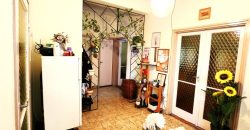 Győr-Moson-Sopron megye – Rajka