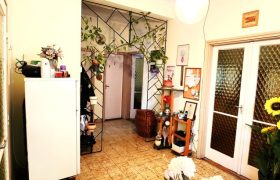 Győr-Moson-Sopron megye – Rajka