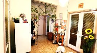 Győr-Moson-Sopron megye – Rajka