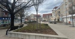 Komárom-Esztergom megye – Tatabánya – Dózsakert